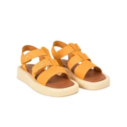 Pataugas ATARI/NU F2I OCRE 12 Pataugas ATARI/NU F2I OCRE -Boutique Pop Pataugas SANDALE FEMME ATARI NU F2I OCRE 628448 251 4 0fc7fac9 5088 4f30 8f1a 4cc7a3bacf39